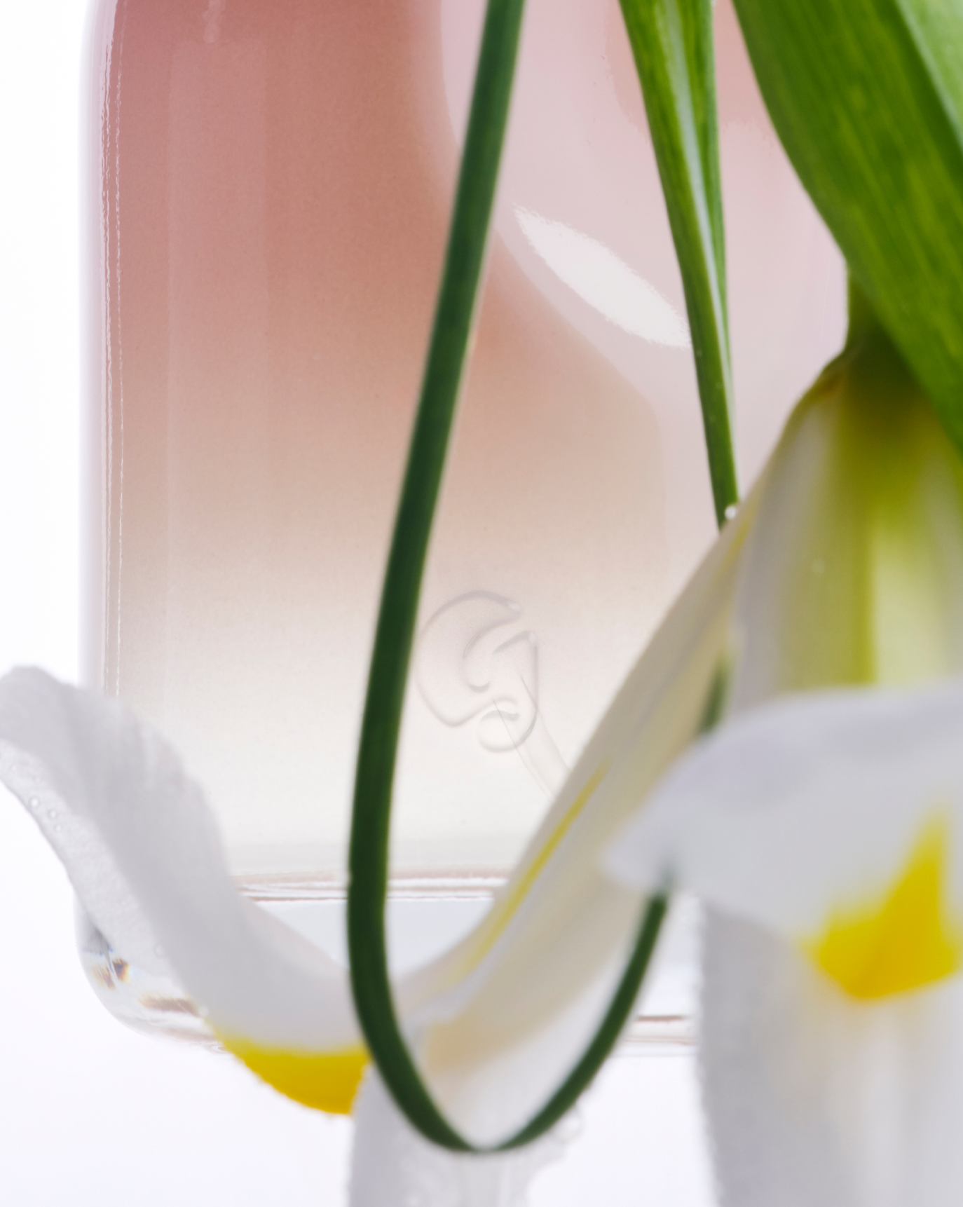 グロッシアーユーpurin Glossier You