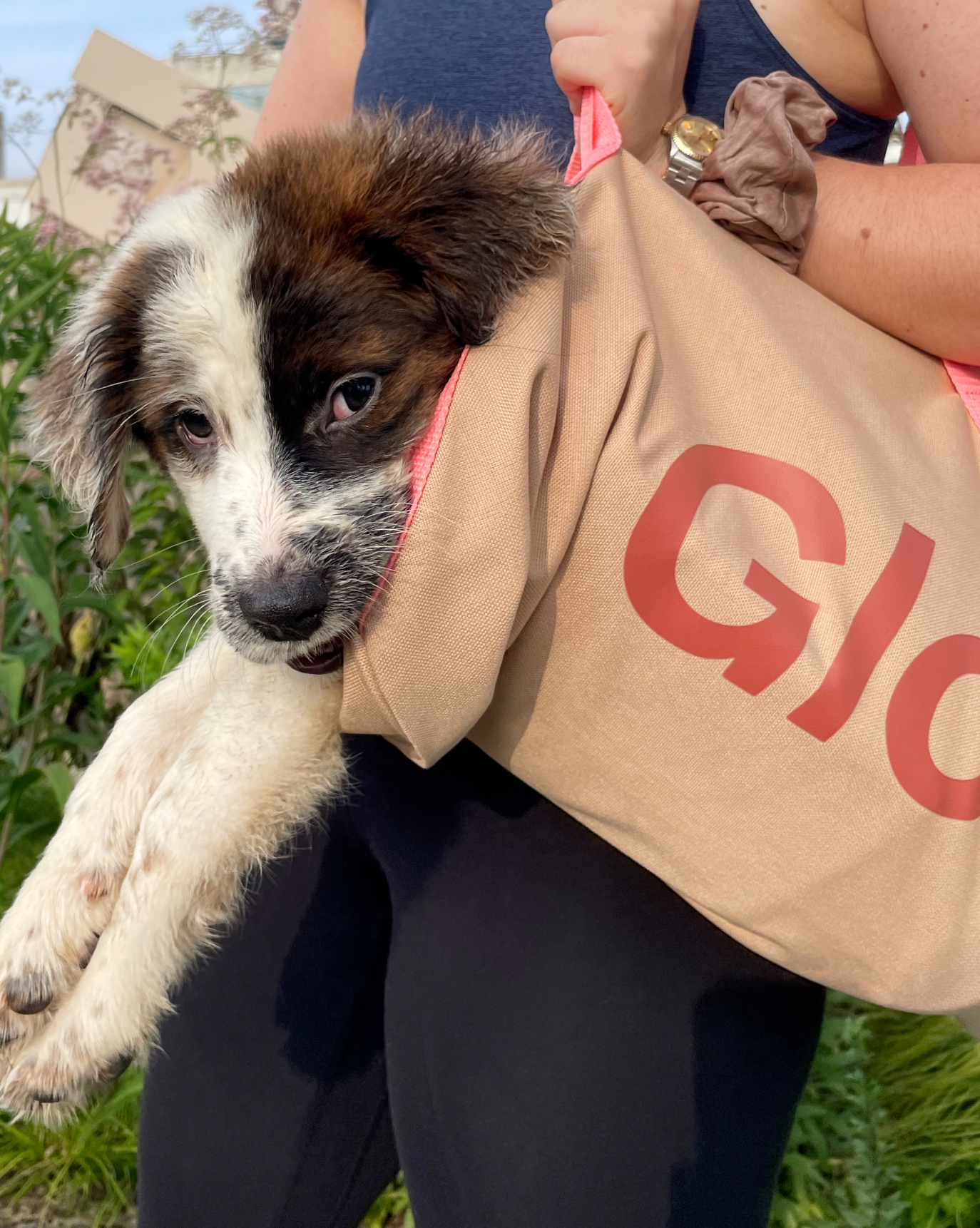 Glossier duffle bag shop